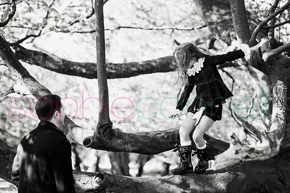 chapmanautumn180250