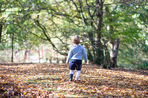 chapmanautumn180159