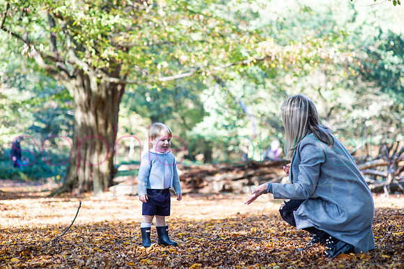 chapmanautumn180463