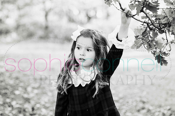 chapmanautumn180040