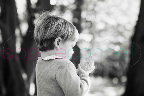 chapmanautumn180200