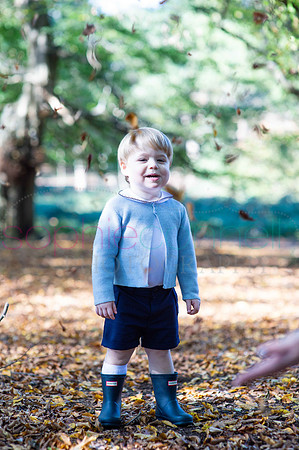 chapmanautumn180482