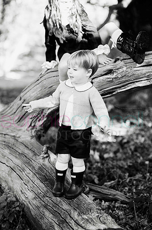 chapmanautumn180362