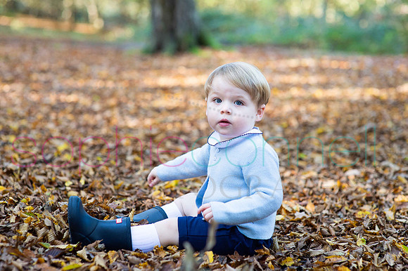 chapmanautumn180099