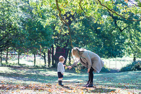 chapmanautumn180205