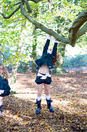 chapmanautumn180485