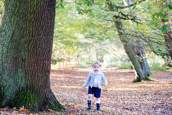 chapmanautumn180029