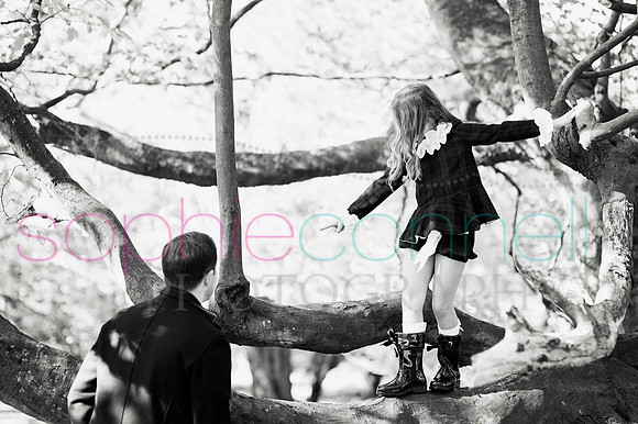 chapmanautumn180252