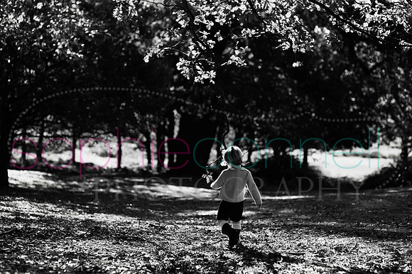 chapmanautumn180204