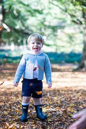 chapmanautumn180479