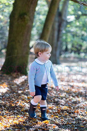 chapmanautumn180195