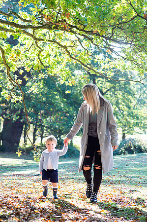 chapmanautumn180207