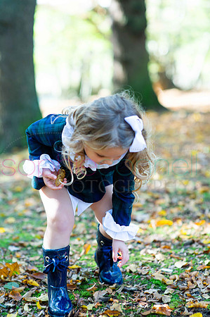 chapmanautumn180135