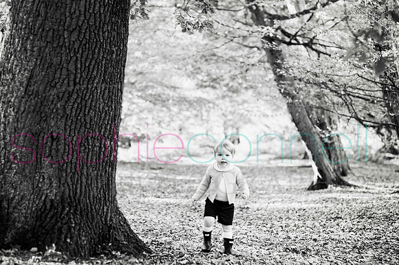 chapmanautumn180030