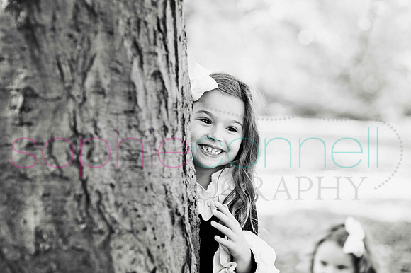 chapmanautumn180140