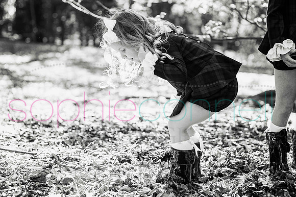 chapmanautumn180228