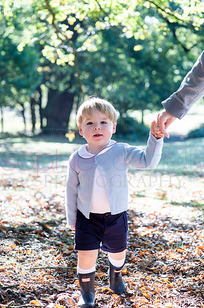 chapmanautumn180213