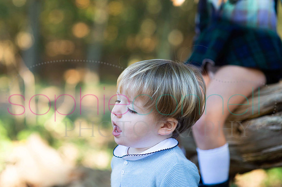 chapmanautumn180373