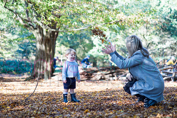 chapmanautumn180465