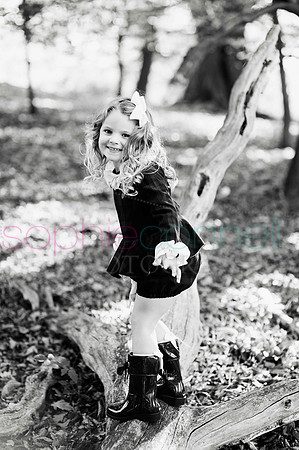 chapmanautumn180394