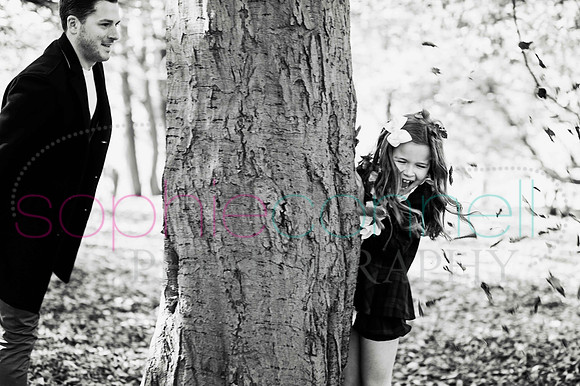 chapmanautumn180146