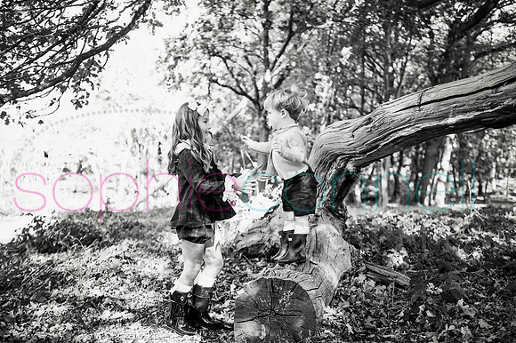 chapmanautumn180382