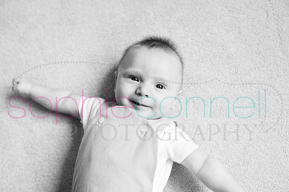 293pugh17