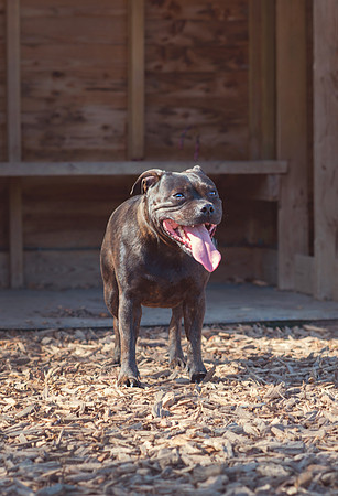 james26325