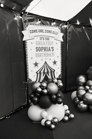 sophia260084