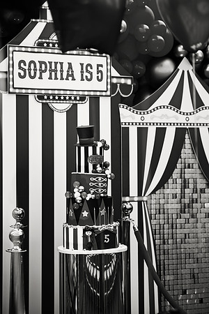 sophia260100