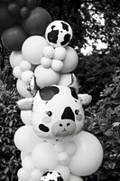 jacob26006