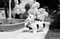 lulu260012