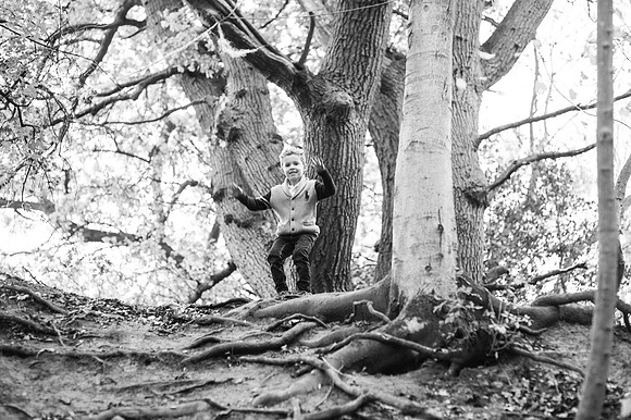 duffyautumn18335
