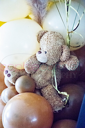 LIABABYSHOWER23027