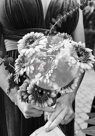 amy&mark0846