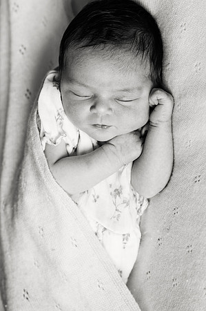 ellie26201