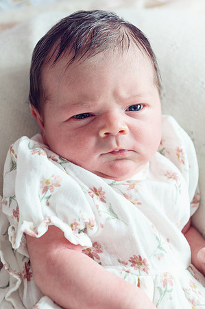 ellie26204
