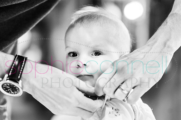 olivia16068