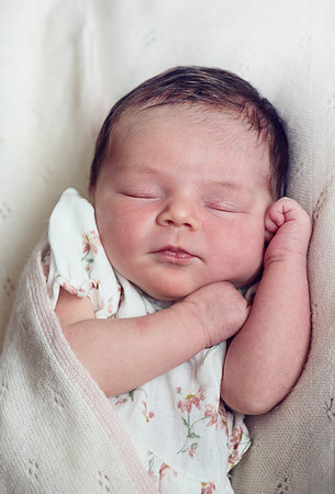 ellie26061
