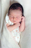 ellie26200