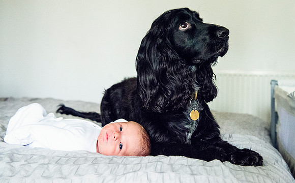 blake23013