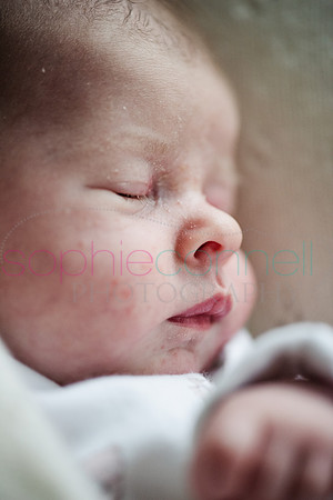 MARGOT25747