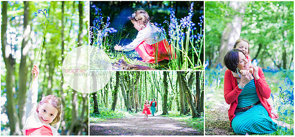 bluebells1
