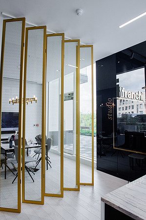 franchistudio21058