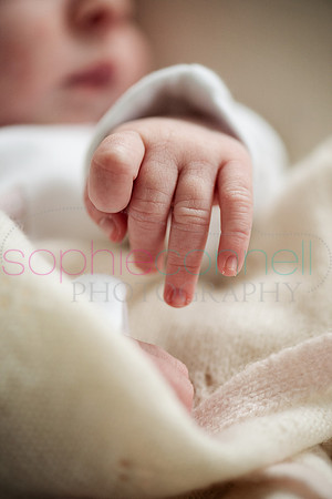 MARGOT25745