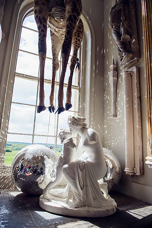aynhoE010