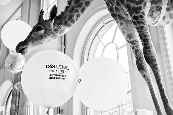aynhoemirco0104