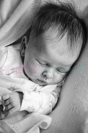 MARGOT25754