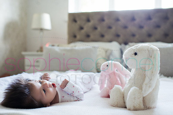 packer049