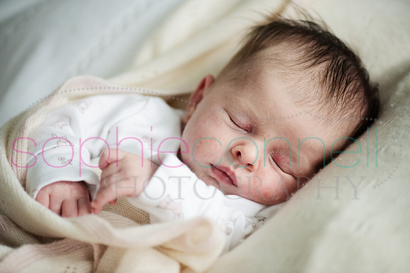 MARGOT25753